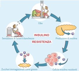 Insulino resistenza. Dieta e diabete. Dott. Stefano Carrara