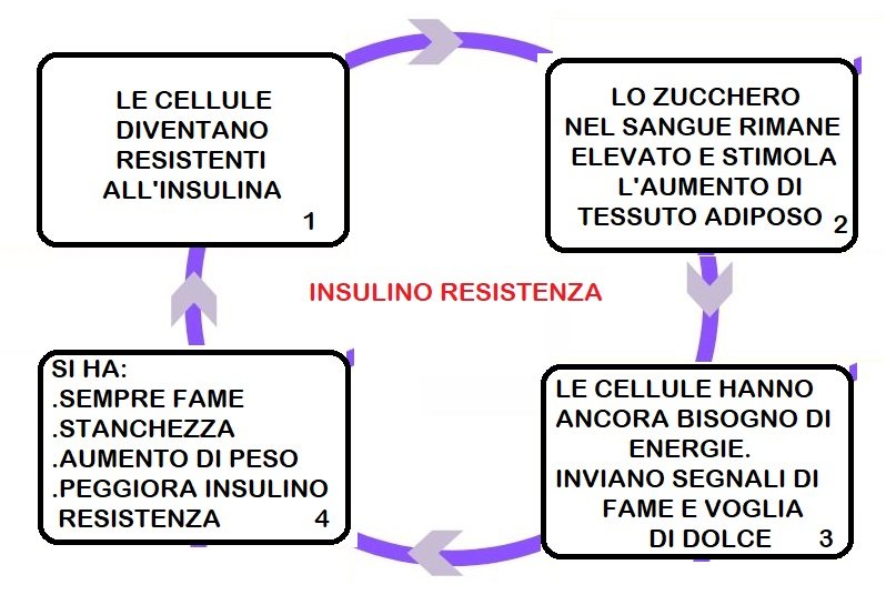 INSULINO RESISTENZA - STUDIO DOTT CARRARA - NUTRIZIONISTA E DIETE - CAVENAGO DI BRIANZA E RHO